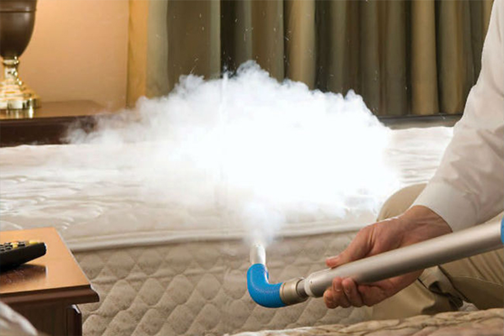 شركة مكافحة الزواحف في ابوظبي