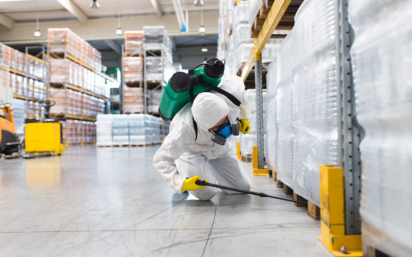 شركة مكافحة النمل في ابوظبي