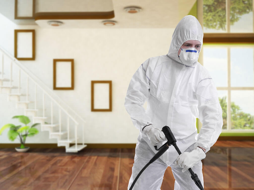 شركة مكافحة الرمة ابوظبي