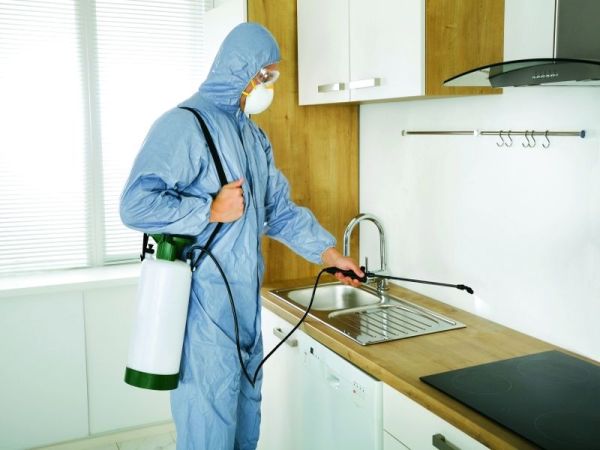 شركة مكافحة الحمام ابوظبي