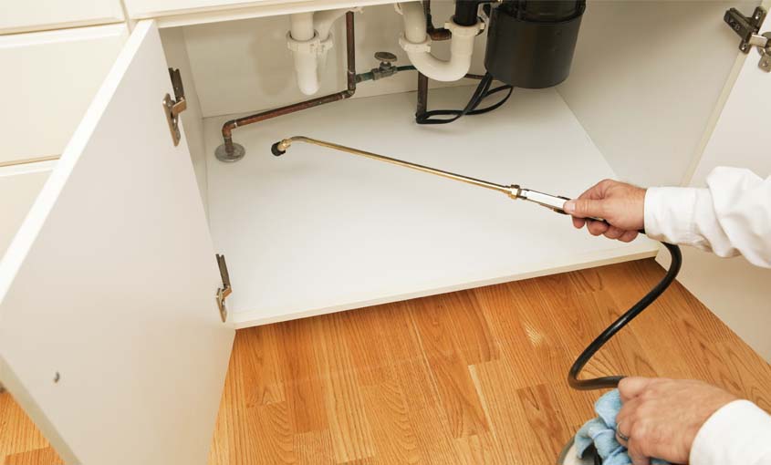 شركة مكافحة الرمة راس الخيمة