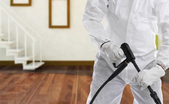 شركة مكافحة الرمة ام القيوين