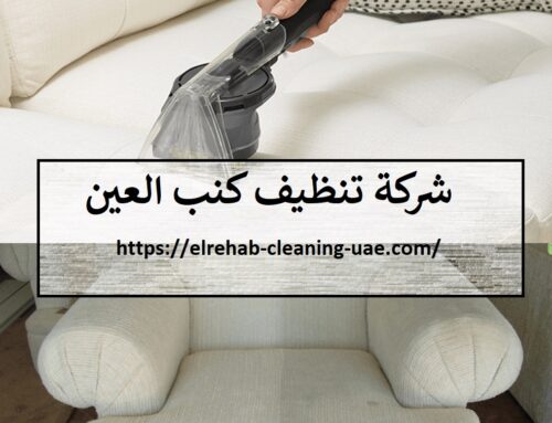 شركة تنظيف كنب في العين |0507036261| تنظيف بالبخار