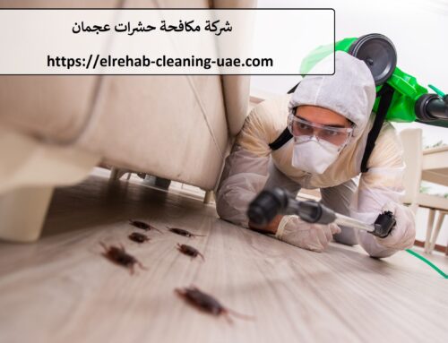 شركة مكافحة حشرات في عجمان |0507036261| رش الحشرات