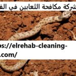 شركة مكافحة الثعابين في الفجيرة