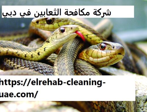 شركة مكافحة الثعابين في دبي |0507036261| شركة الرحاب