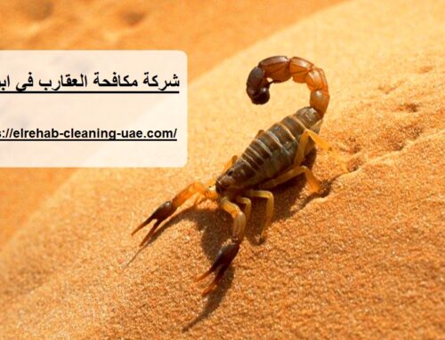شركة مكافحة العقارب في ابوظبي |0507036261| ابادة الحشرات