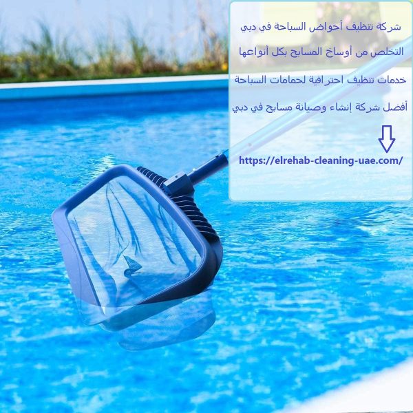 شركة تنظيف أحواض السباحة في دبي