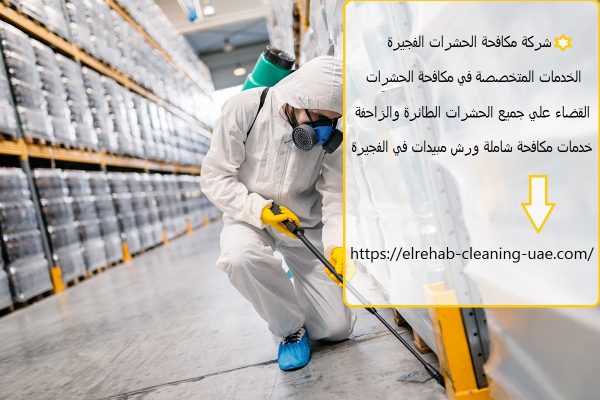 شركة مكافحة الحشرات الفجيرة