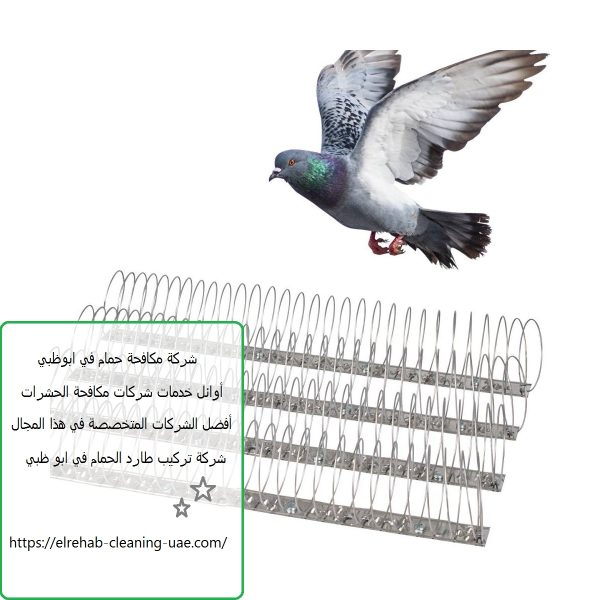 شركة مكافحة حمام في ابوظبي