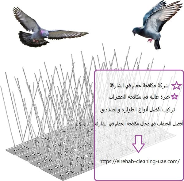 شركة مكافحة حمام في الشارقة