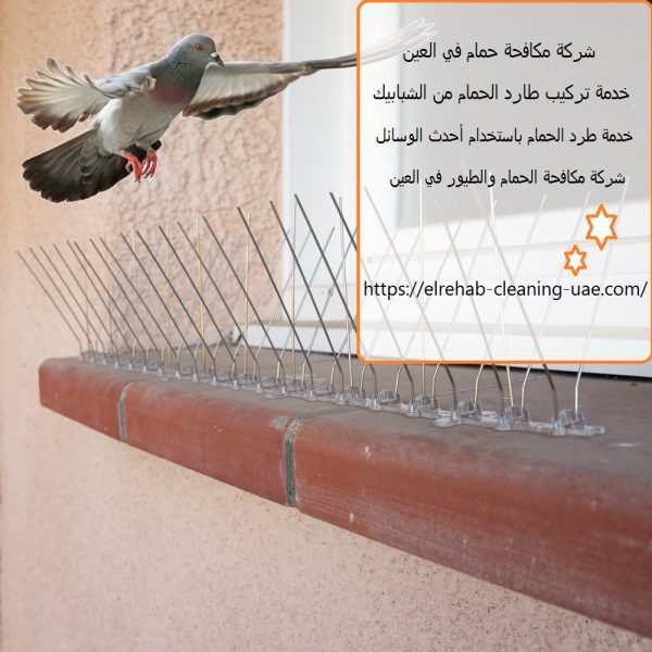 شركة مكافحة حمام في العين