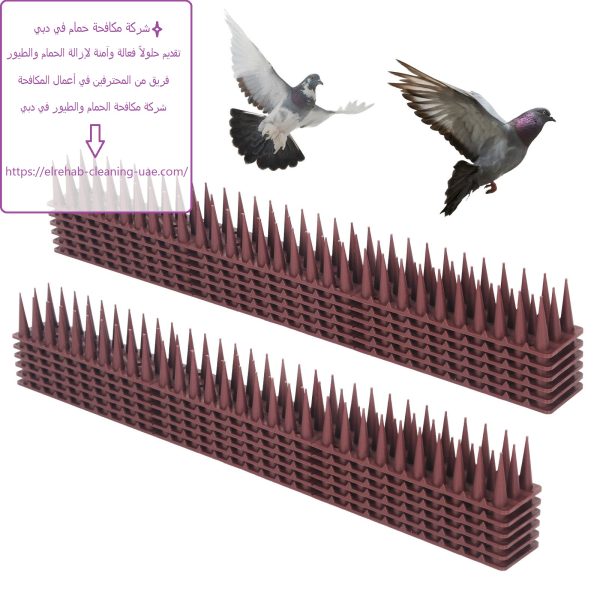 شركة مكافحة حمام في دبي