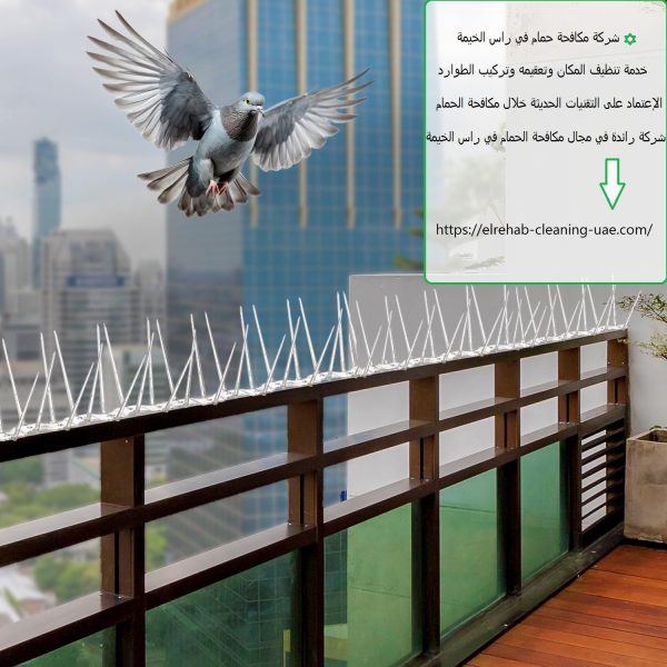 شركة مكافحة حمام في راس الخيمة